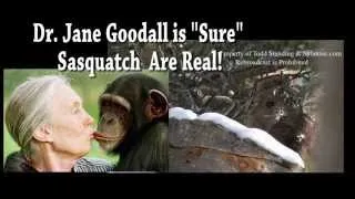 Dr. Jane Goodall is "Sure" Sasquatch are real