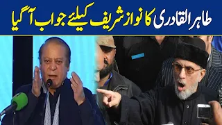 Tahir-ul-Qadri Responded on Nawaz Sharif's Allegations | Dawn News