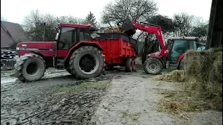 Curage et transport de fumier 2018