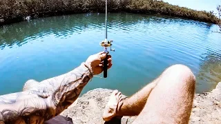 YBS Lifestyle Ep 13 - WORLD'S SMALLEST FISHING ROD CHALLENGE | Amazing Dolphin Encounter