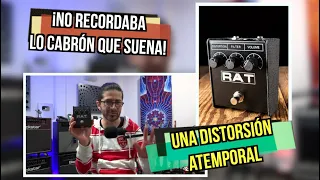 GEAR SCIENCE: Sonando el PODEROSO RAT 2 DISTORTION de Pro Co