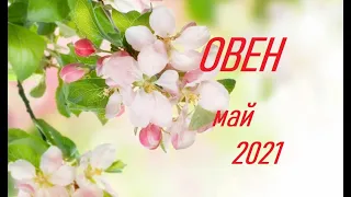 Овен май 2021