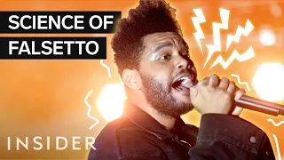 Why You Love The Sound Of Falsetto