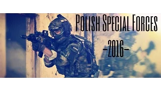 Polish Special Forces - 2017 - Polskie Siły Specjalne ● HD - Promotional Movie