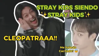 STRAY KIDS SIENDO STRAY KIDS 🤭🤣🤣