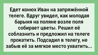 Конюх Решил Соблазнить Барыню в Телеге! Сборник Свежих Смешных Жизненных Анекдотов!