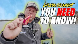 A Lipless Crankbait Tip YOU NEED TO KNOW!