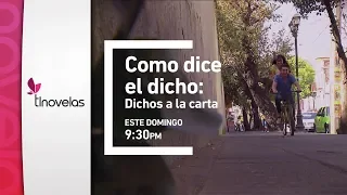 Maratón Como dice el dicho: En nombre del amor | Domingo 9:30 PM | tlnovelas