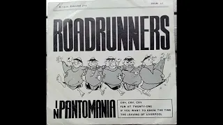 The Roadrunners - If You Want To Know The Time (1965 from Roadrunners In Pantomania EP)