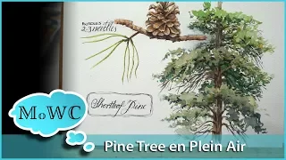 Watercolor Pine Tree Tutorial Plein Air for my Sketchbook Page