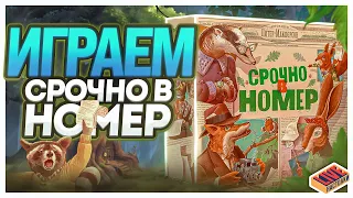 Играем в настольную игру Срочно в Номер