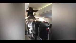 Woman's meltdown on plane compared to the 'Exorcist'