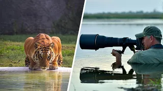 Top 10 Best Camera for Wildlife Photography