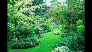 LE JARDIN PRIVÉ D’UN GRAND HOMME DU MONDE DES ROSES