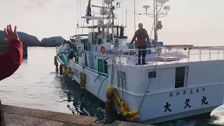 【カツオ一本釣り】初出港〜高知沖操業〜水揚げ〜出港