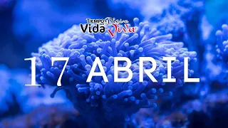 Tu tiempo con Dios 17 Abril de 2023 (2 Samuel 4:1-12)