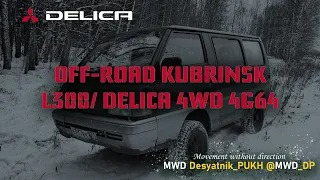 OFF-ROAD Mitsubishi L300 DELICA, Russia, KUBRINSK