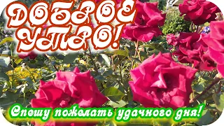 Доброе утро! 🌸Спешу пожелать удачного дня... 🌸Музыкальная открытка с пожеланиями 🌸Good morning!🌸