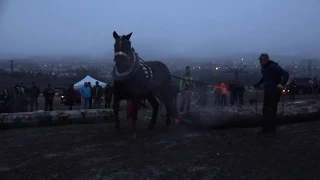 Morgis, siedme miesto v ťažkom ťahu (Kľačianská podkova 2020)