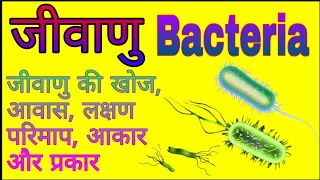 जीवाणु की खोज, परिभाषा, आवास, लक्षण, परिमाप, आकार और प्रकार | Bacteria Ki Khoj, Lakshan, Prakar etc