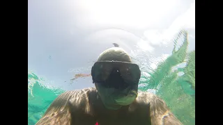 snorkel adventure Spring Bay beach