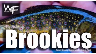 W4F - Fly Fishing Brook Trout - Tennessee "Great Smoky Mountain National Park"