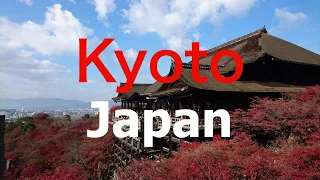 Kyoto Japan Top 5 spots to visit!