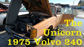 Ripping out a Volvo 240 Head at the Junkyard