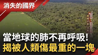 當地球之肺不再呼吸！樹木自然死亡遽增"雨林排放二氧化碳比吸收的多" 專家示警：人類現起不再砍樹.焚林也來不及了 揭地球上被人類傷最重的一塊│李文儀主持│【消失的國界完整版】20230415│三立新聞台