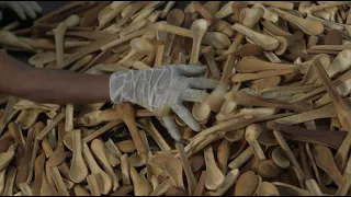 Edible Cutlery - Fix the World and Make Money - Trailer