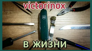 Victorinox практика - о насущном