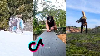 Therian TikTok Compilation #33