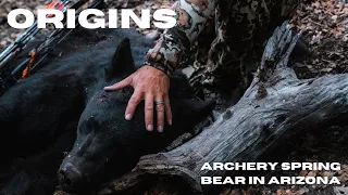 Origins - Archery Spring Bear Hunt in Arizona