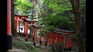 Япония - Фусими Инари: ХРАМ ТЫСЯЧИ ВОРОТ. Тропа на вершину. Киото.
