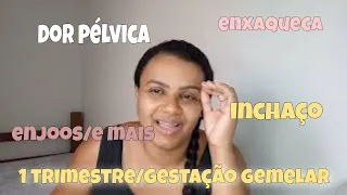 DIÁRIO DA GRAVIDEZ 🤰1 TRIMESTRE DE GESTAÇÃO (GEMELAR )