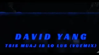 Tsis Muaj Ib Lo Lus - David Yang (VueMix_Remake)