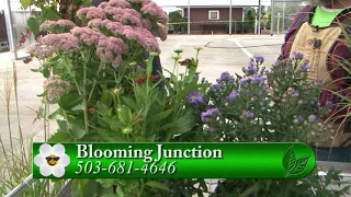 Blooming Fall Planting