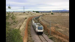 Tren militar con doble de 253 y doble de literas con Toas, Pizarros y Leopard