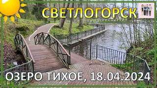 Озеро Тихое в Светлогорске. Калининградская область