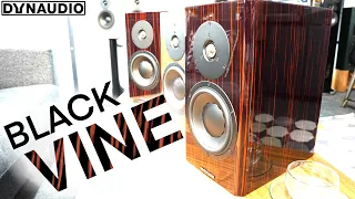 Dynaudio Special Forty Black Vine First Look