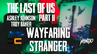 Ashley Johnson and Troy Baker - Wayfaring Stranger MONDO LP 2021 (4k)