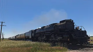 Chasing UP 4014 with the Home Run Express