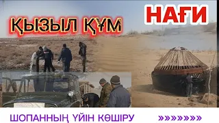 НАҒИҒА ҮЙ КӨШІРУ |  ТАХТАКӨПІР ДАЛАСЫ 2024