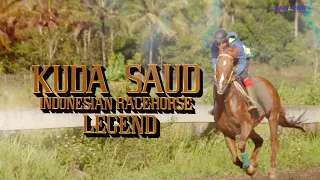 Full Movie ! KUDA SAUD PENAKLUK LINTASAN PACU ! MAESTRO LEGENDA PACUAN KUDA! INDONESIAN HORSE RACING