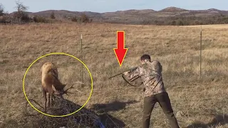 Этот парень направил ружье на оленя, но в то что произошло далее, никто не мог поверить