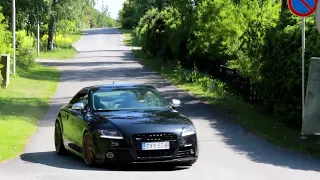 Audi TTS 8j 2008