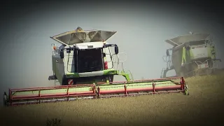 Árpa betakarítás🌾/ Barley Harvest🌾/2020 /3x Claas Lexion 600 Terra Trac&7xJohn Deere