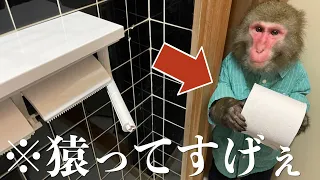 お猿さんと一緒に暮らしたら役立ちすぎて可愛すぎてしんどかった。