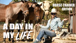 24 YEAR OLD THAT TRAINS HORSES FOR A LIVING (a day in the life, FULL TIME horse trainer)