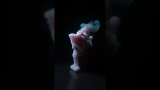 Pop Smoke Hello - 3D Dance Smoke Animation